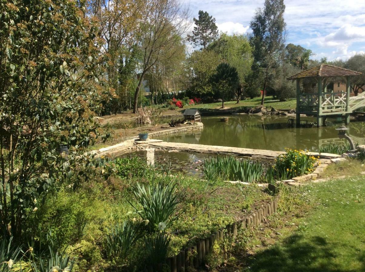 Gite Le Bois De Montpouillan Marmande Luaran gambar